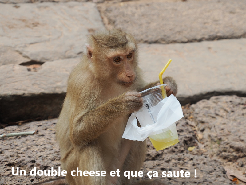 img_20200315_046a.png
